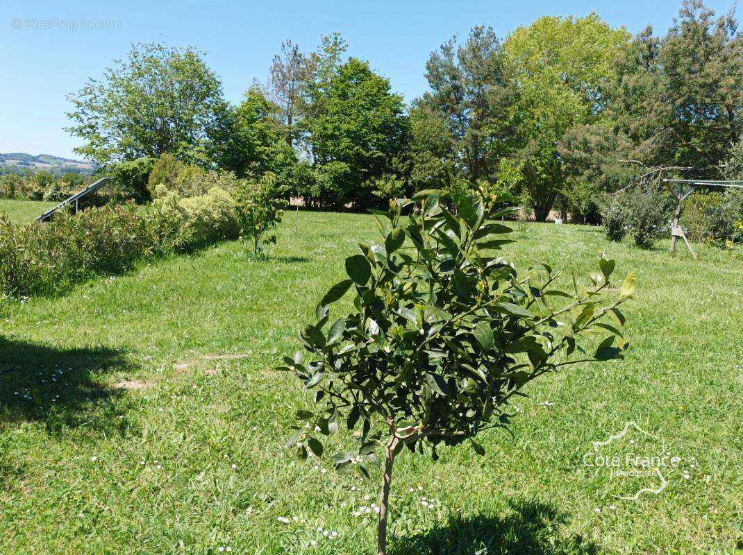 Maison à SALIES-DE-BEARN