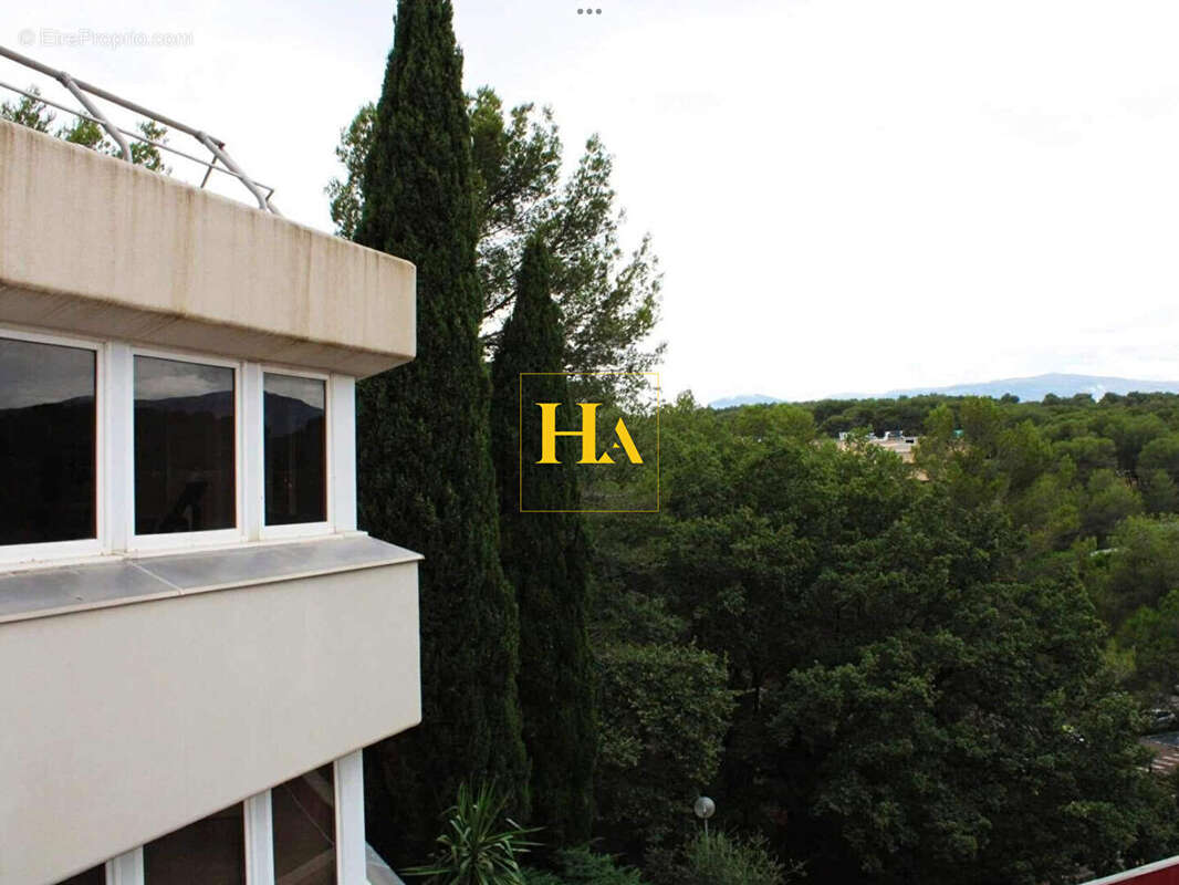 Commerce à VALBONNE