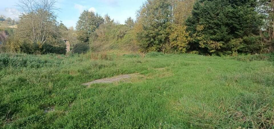 Terrain à LONDINIERES