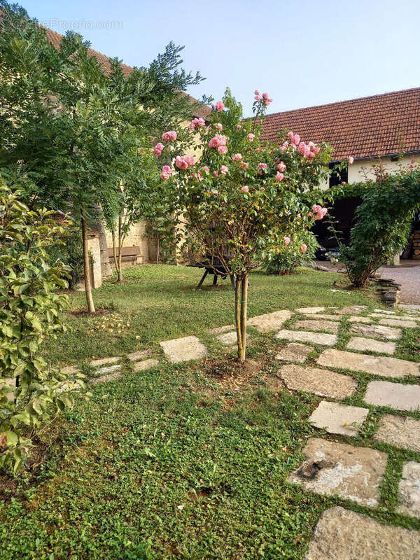 Maison à BLIGNY-SUR-OUCHE