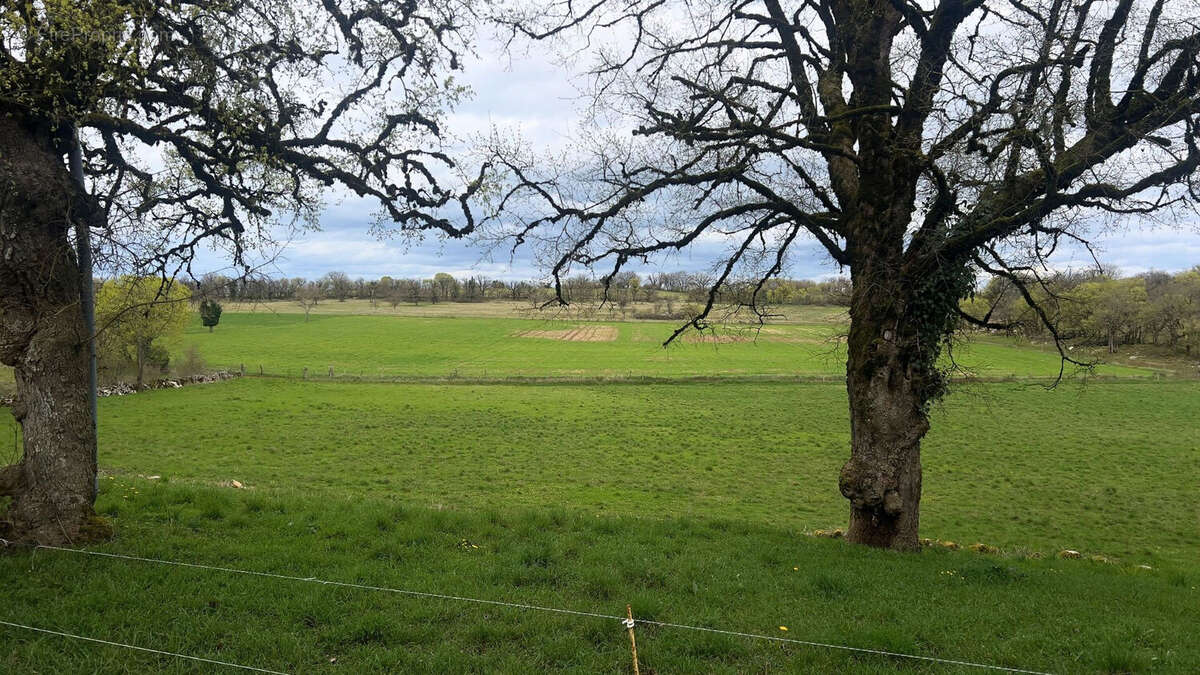 Propriété de charme avec dépendances et 7 hectares dans le lot - photo 15