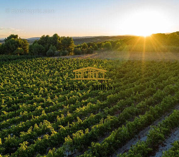 Terrain à VIC-LA-GARDIOLE