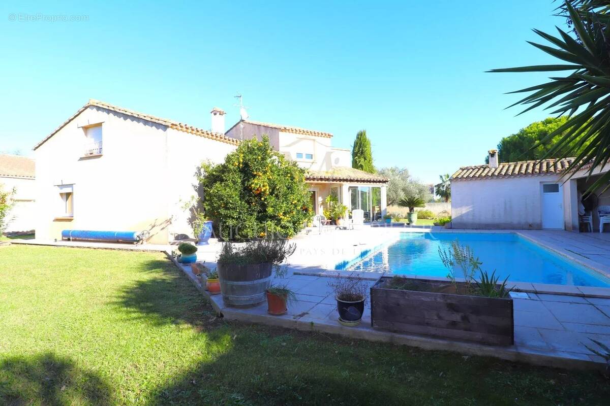 Maison à MONTPELLIER