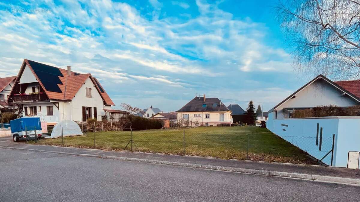 Terrain à SESSENHEIM