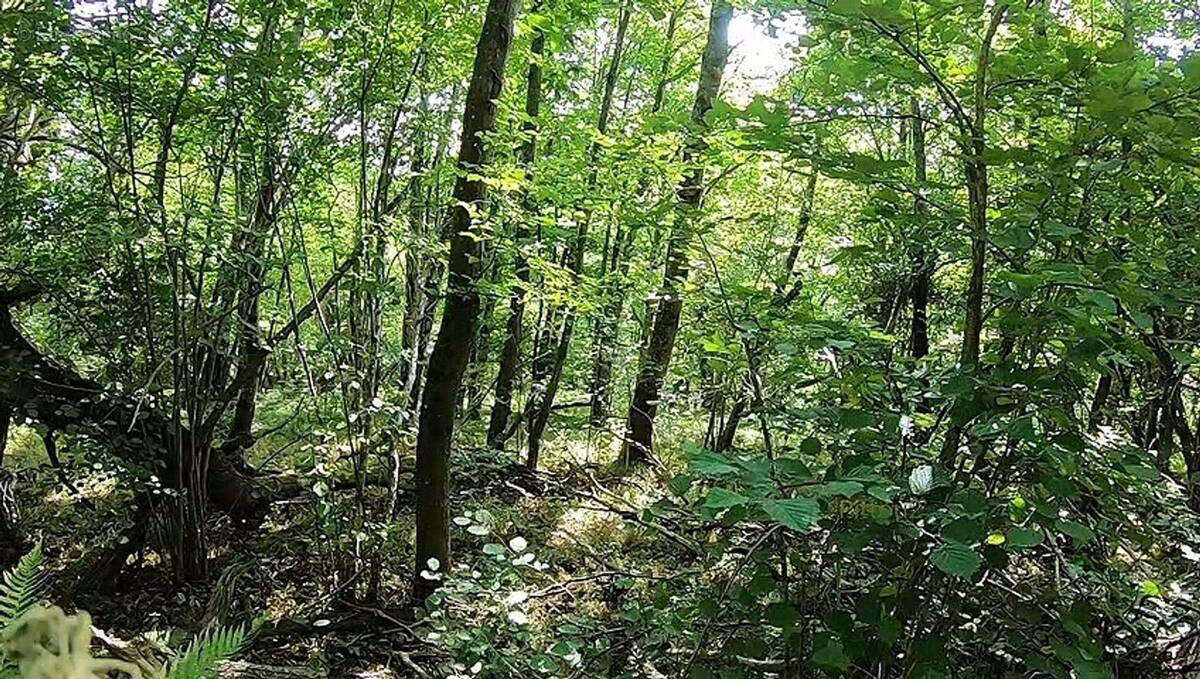 Maison à JOUE-LES-TOURS