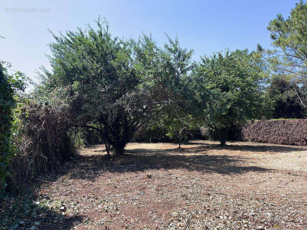 Terrain à SAINT-ETIENNE-DE-BRILLOUET