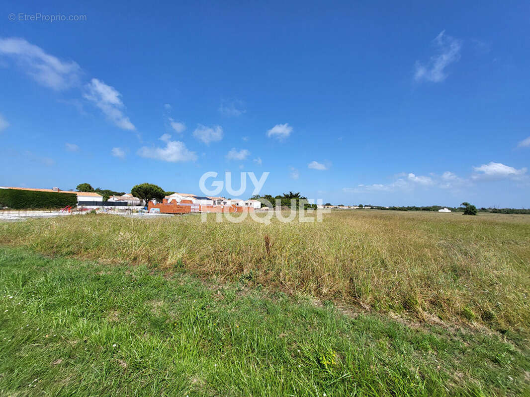 Terrain à SAINT-DENIS-D'OLERON