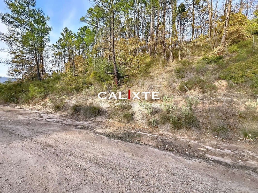 Terrain à SAINT-PAUL-EN-FORET