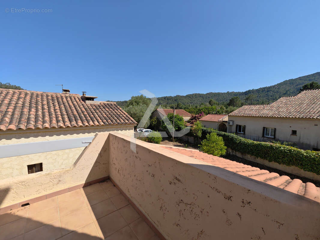 Maison à ZONZA