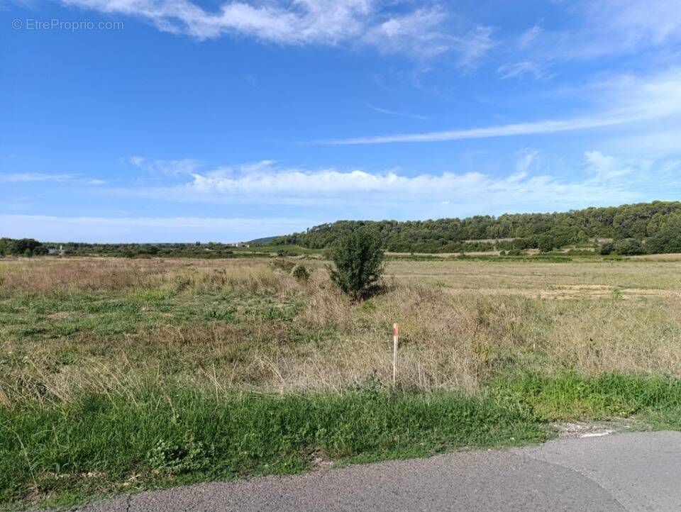 Terrain à SAINT-MATHIEU-DE-TREVIERS