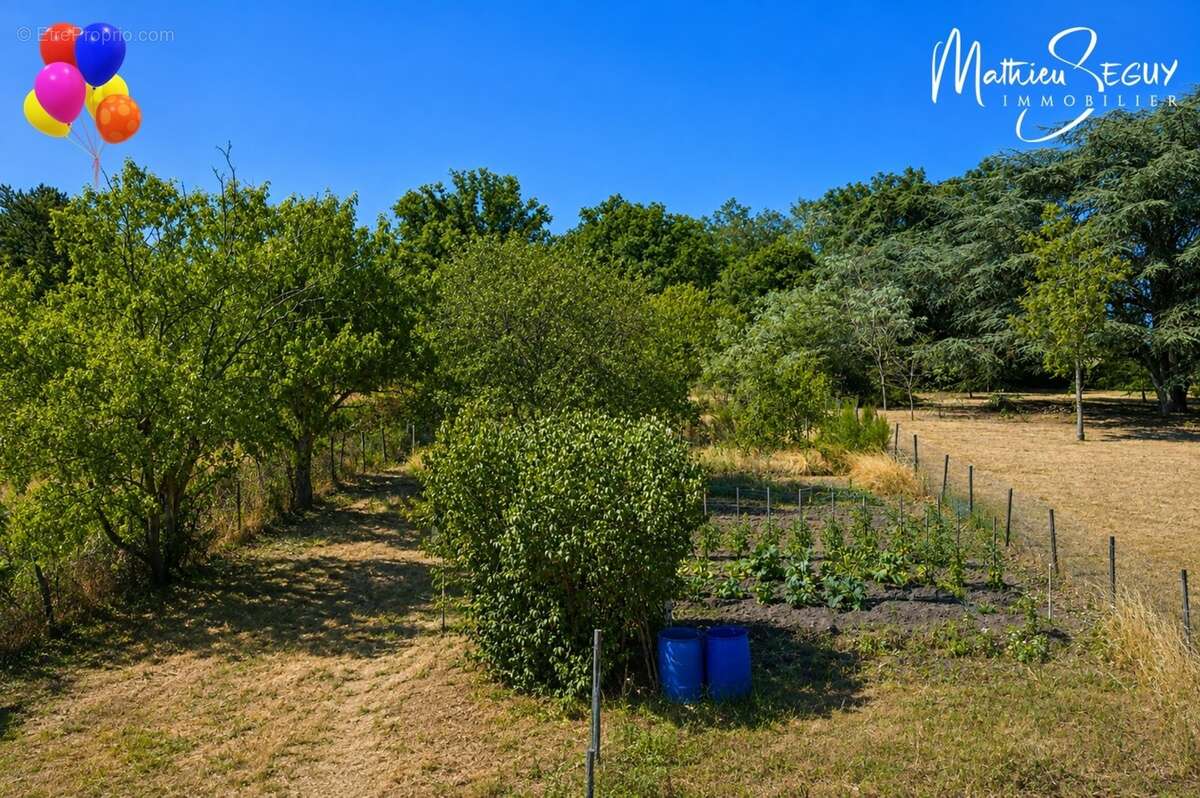 LENTILLY - Petite maison sur grand terrain avec vue - photo 23