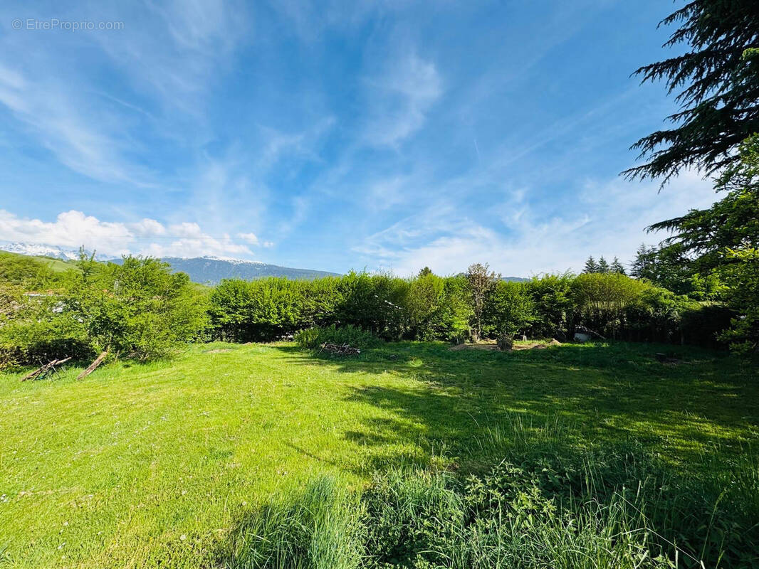 Terrain à BRIE-ET-ANGONNES