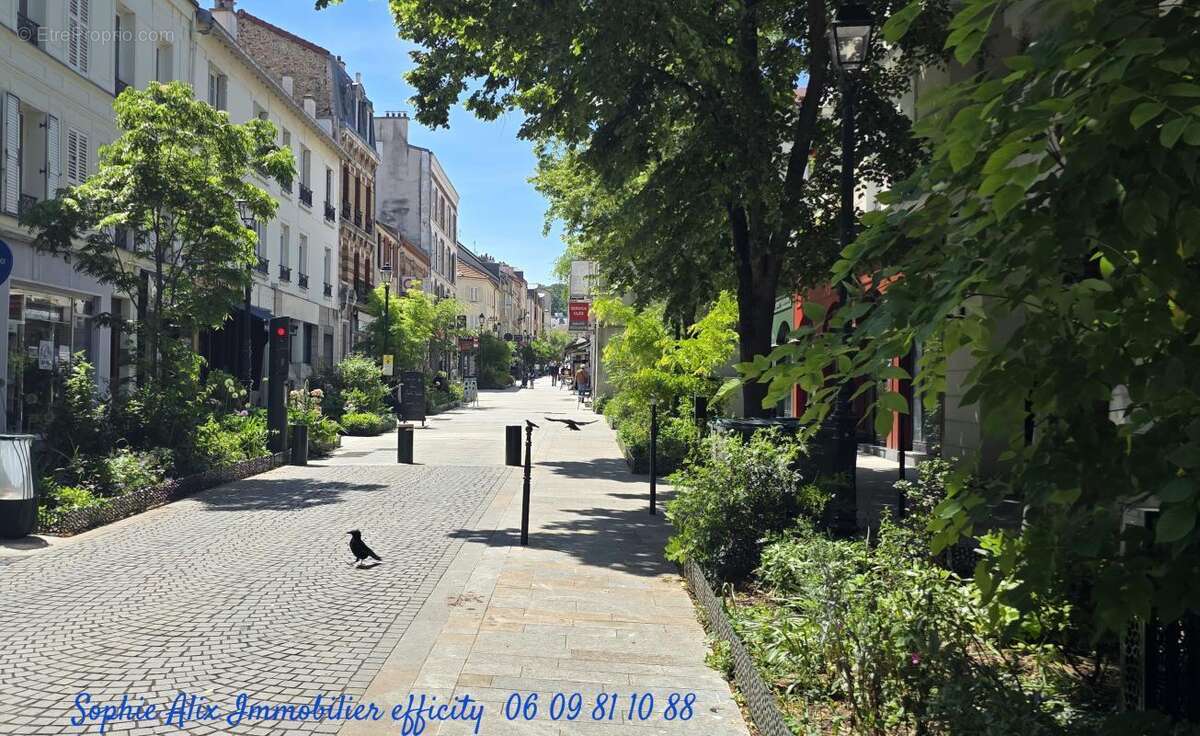 Commerces/Negoce - photo 3