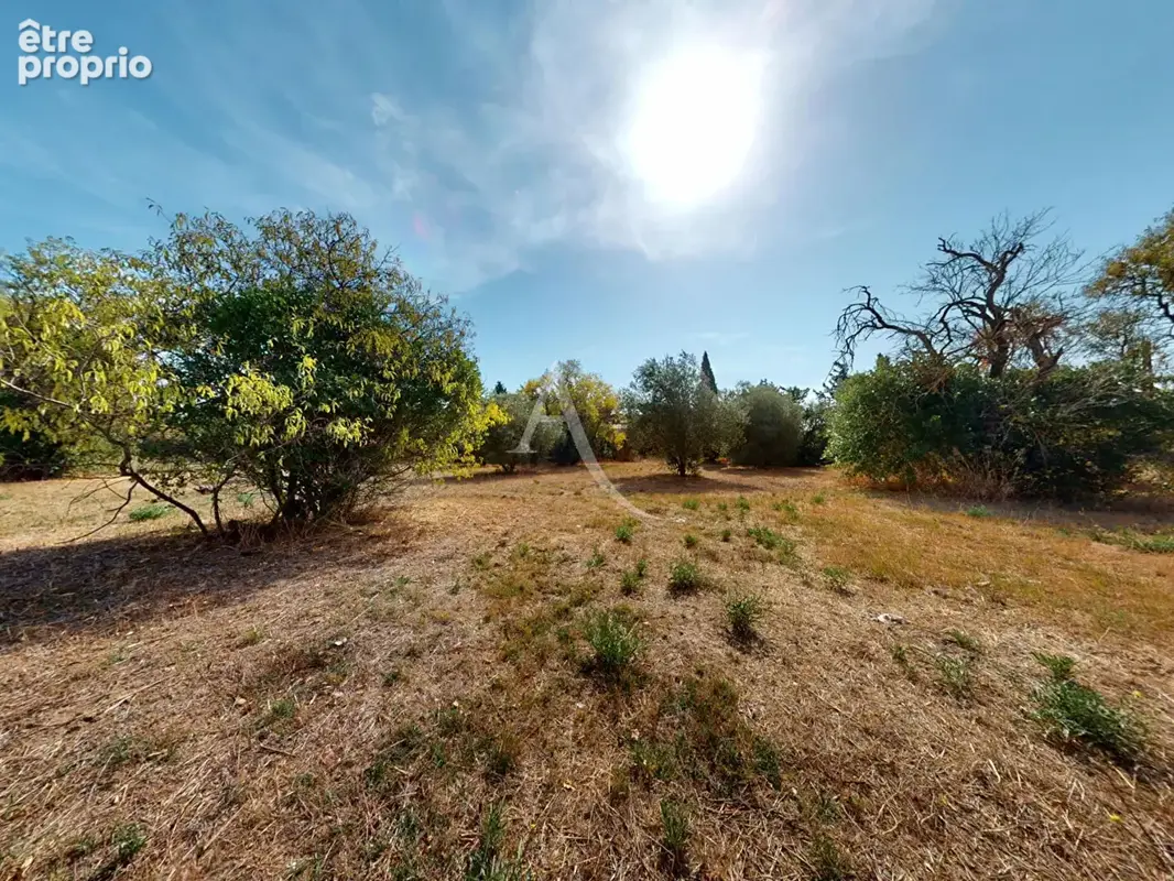 Maison à vendre à Lézignan-Corbières avec terrain de 9000m2 - photo 15
