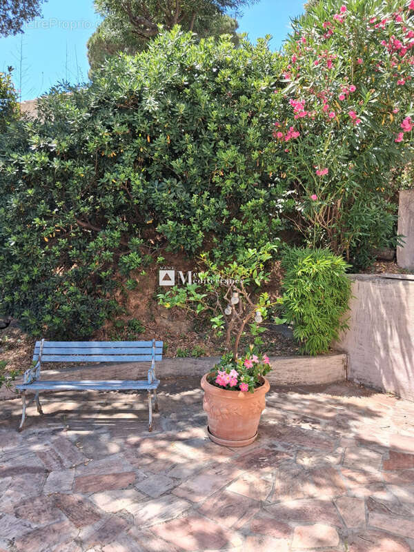 Maison à GRIMAUD