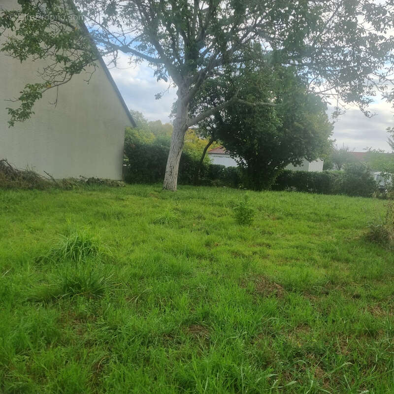 Terrain à TOURS