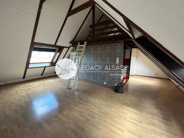 Appartement à LINGOLSHEIM