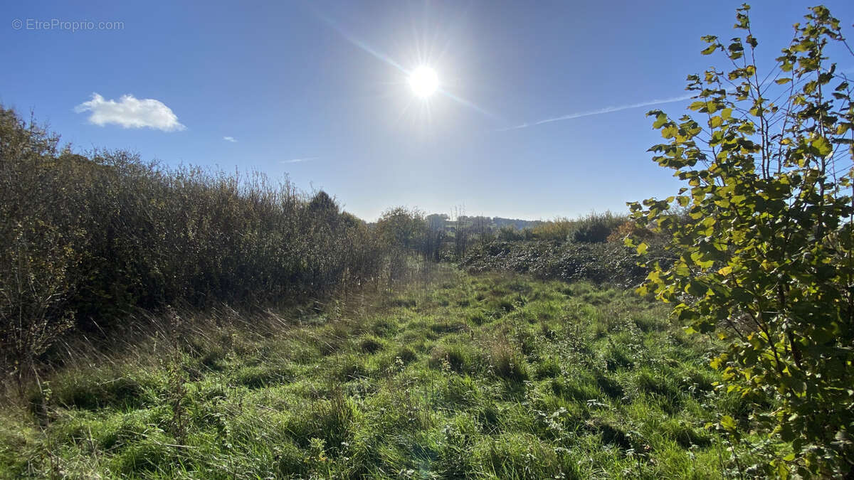 Terrain à LA POTERIE-AU-PERCHE