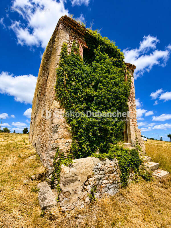 Terrain de 4576 m²  avec deux bâtiments en ruine à MONTAIGUET EN FOREZ - photo 4