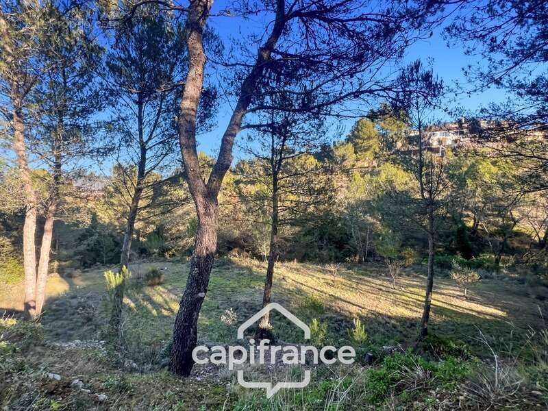 Domaine et Golf de Pont Royal, belle  propriété de 290 m2 établie sur un terrain de 2600 m2, cinq chambres, un bureau, piscine,  - photo 3