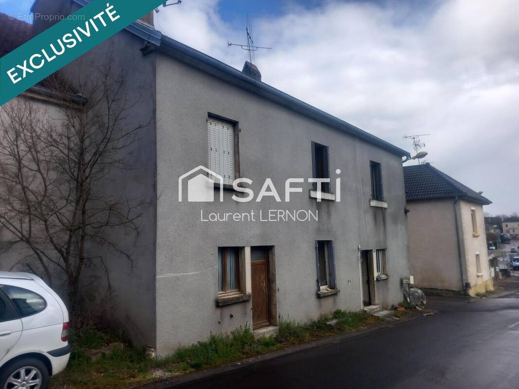 Photo 1 - Maison à NOIDANS-LE-FERROUX