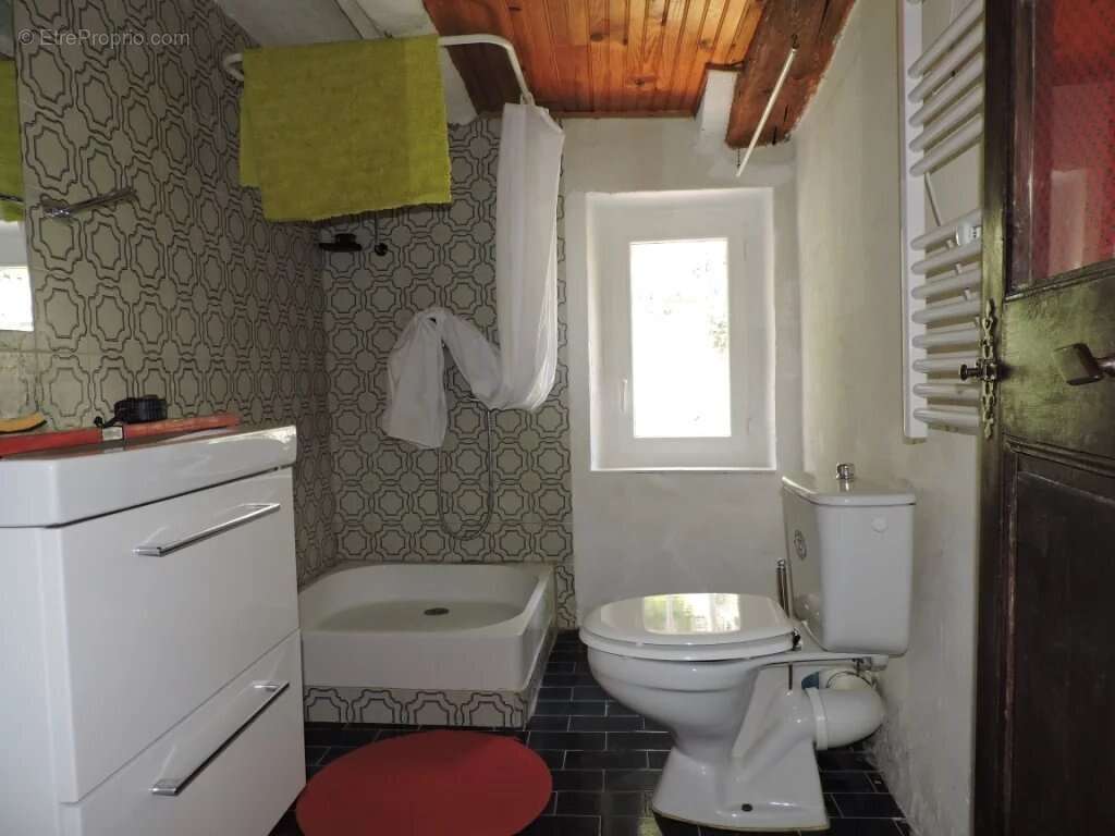 Maison à ENTREVAUX