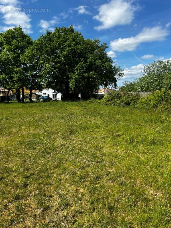 Terrain à LA GARNACHE