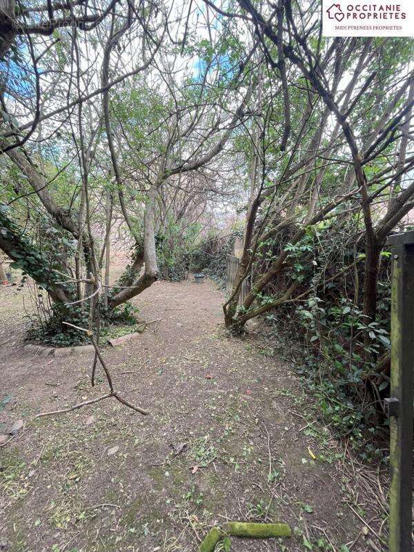 Terrain à L&#039;ISLE-EN-DODON