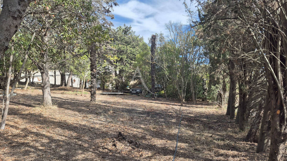 Terrain à OUVEILLAN