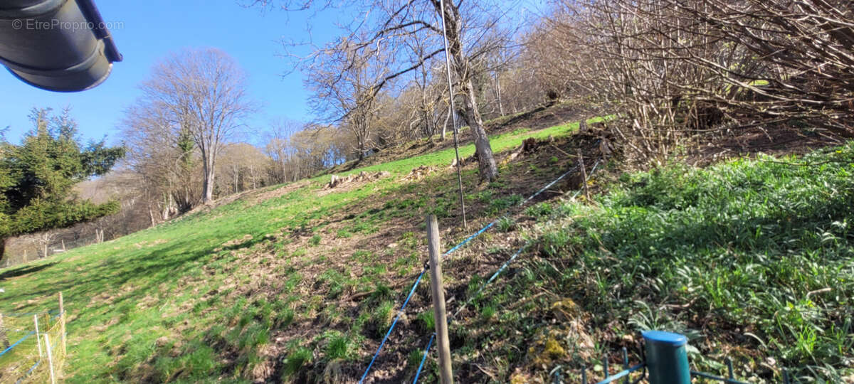 Maison à ESCHBACH-AU-VAL