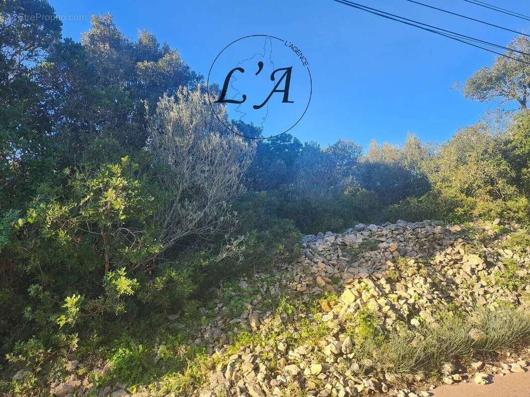 Terrain à BONIFACIO
