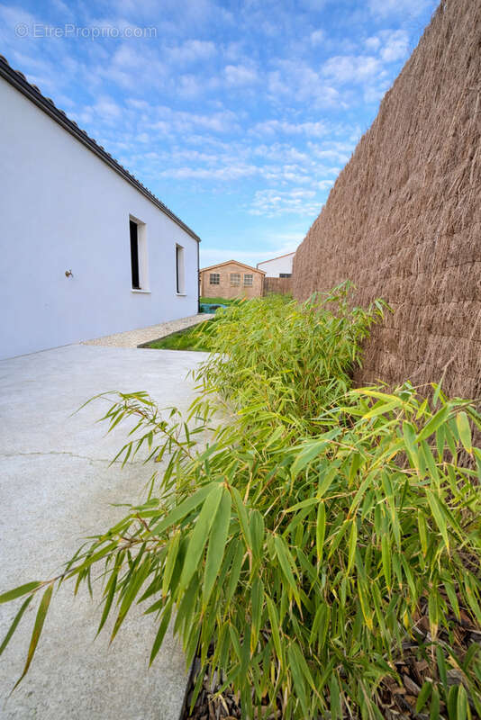 Maison à SAINT-VINCENT-SUR-GRAON