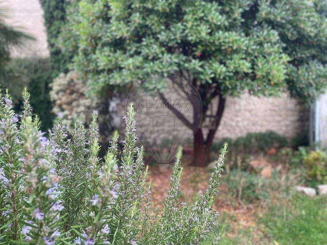 Maison à LA ROCHELLE