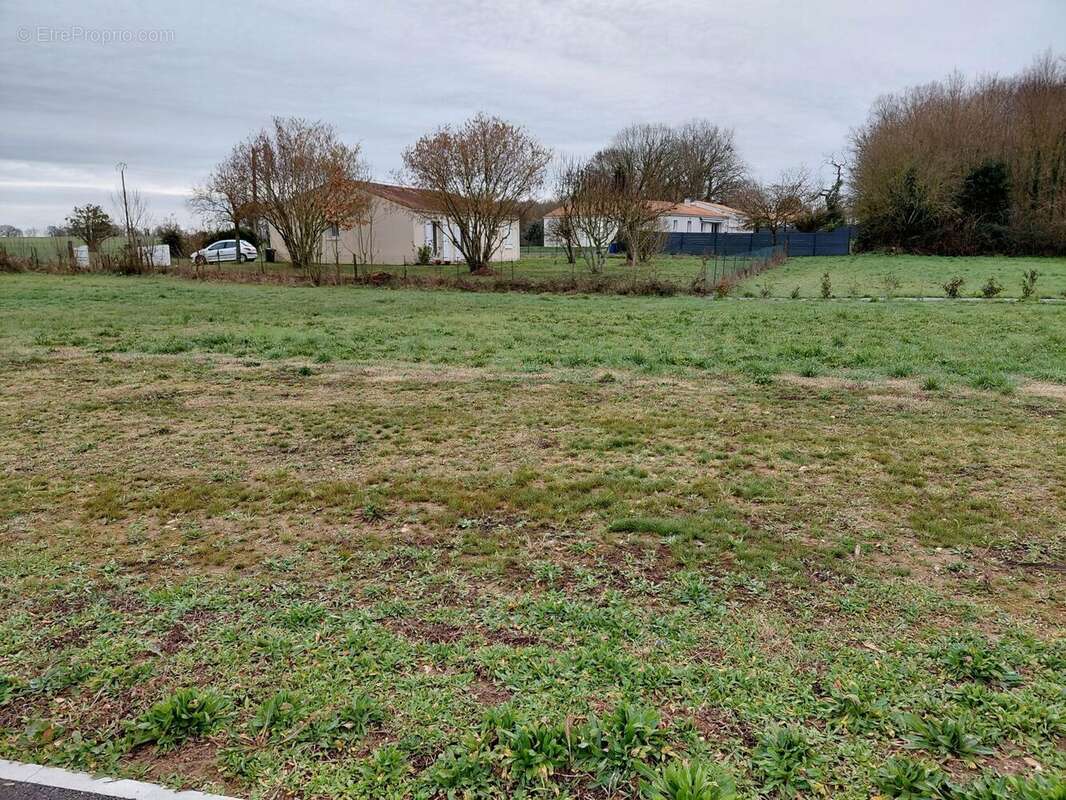 Terrain à SAINT-GEORGES-DES-COTEAUX