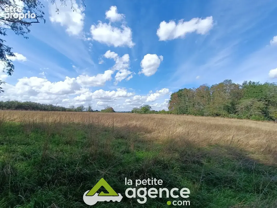 Longère sur terrain de plus d'1 hectare - photo 8