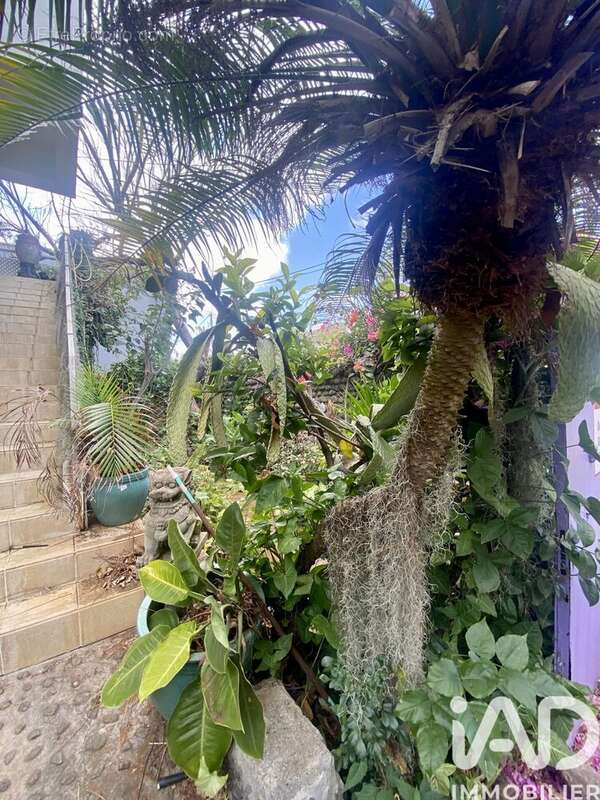 Photo 3 - Maison à SAINT-PIERRE