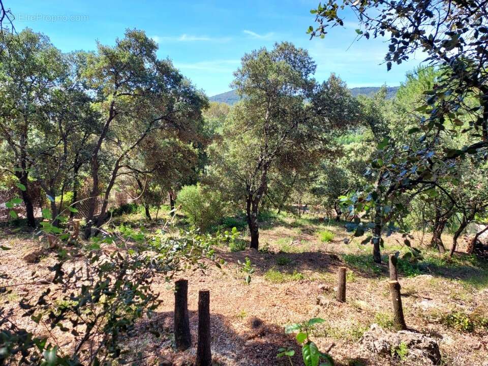 Terrain 950 m² à Sainte-Anastasie-Sur-Issole  - photo 2