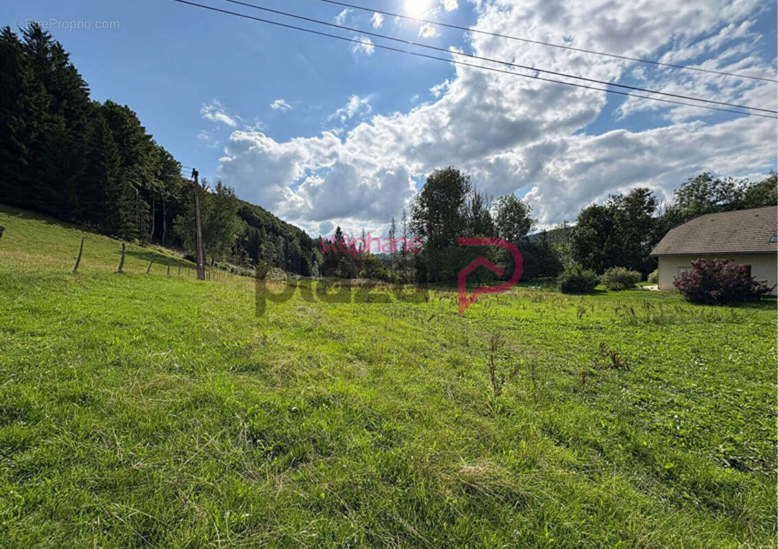 Terrain à FONCINE-LE-HAUT