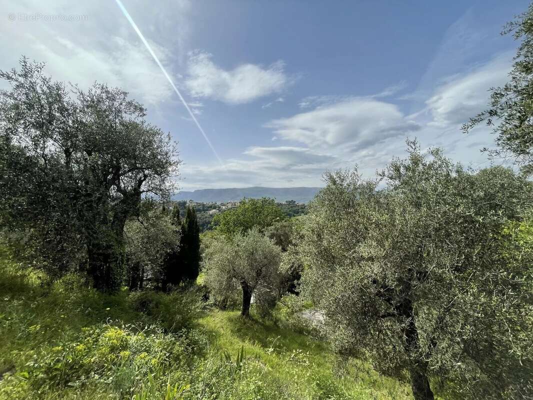 Colomars - La Sirole terrain de 1585m² - photo 2
