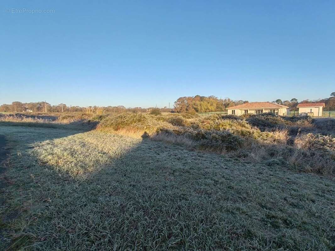Terrain à SAINT-VINCENT-DE-PAUL