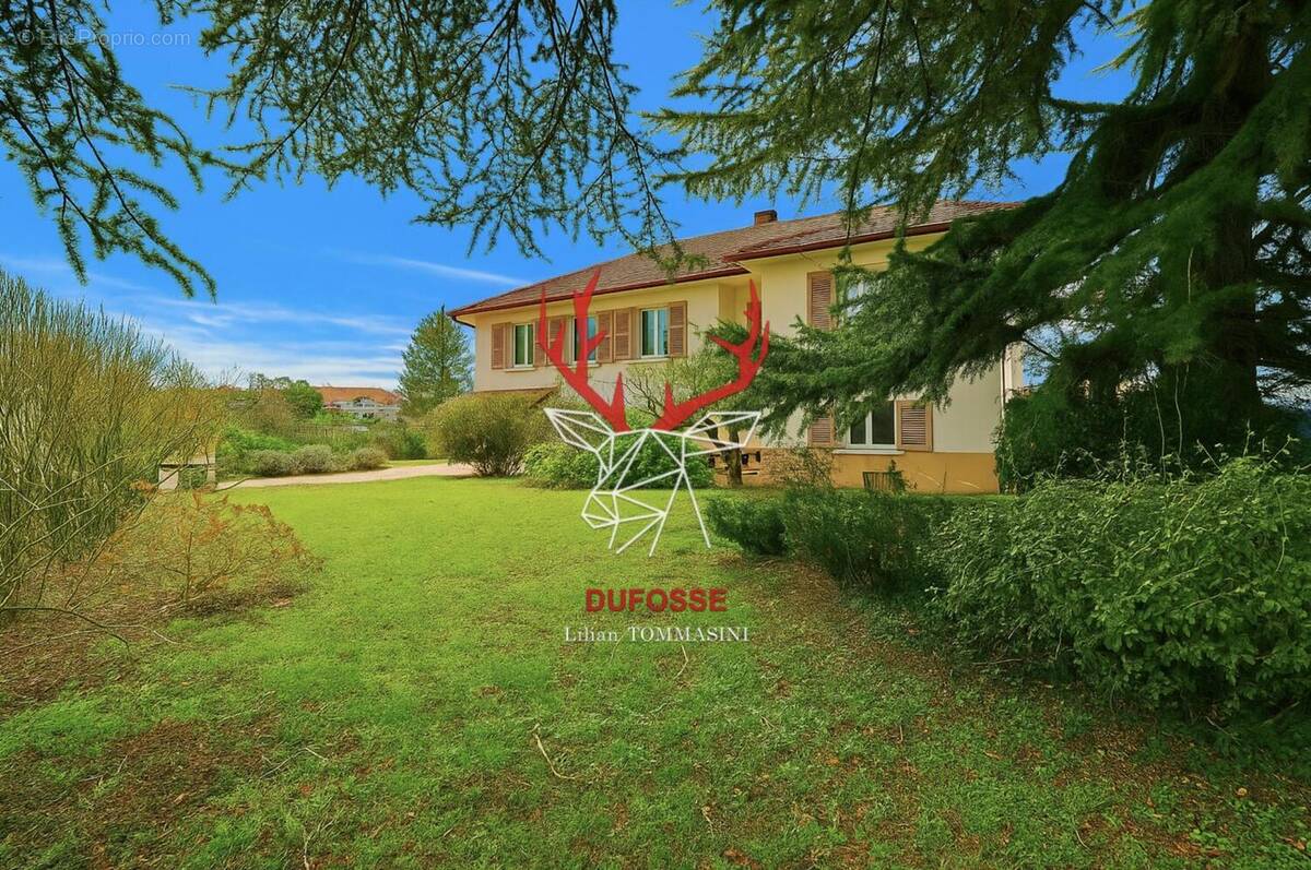 Photo 1 - Maison à LA TOUR-DE-SALVAGNY