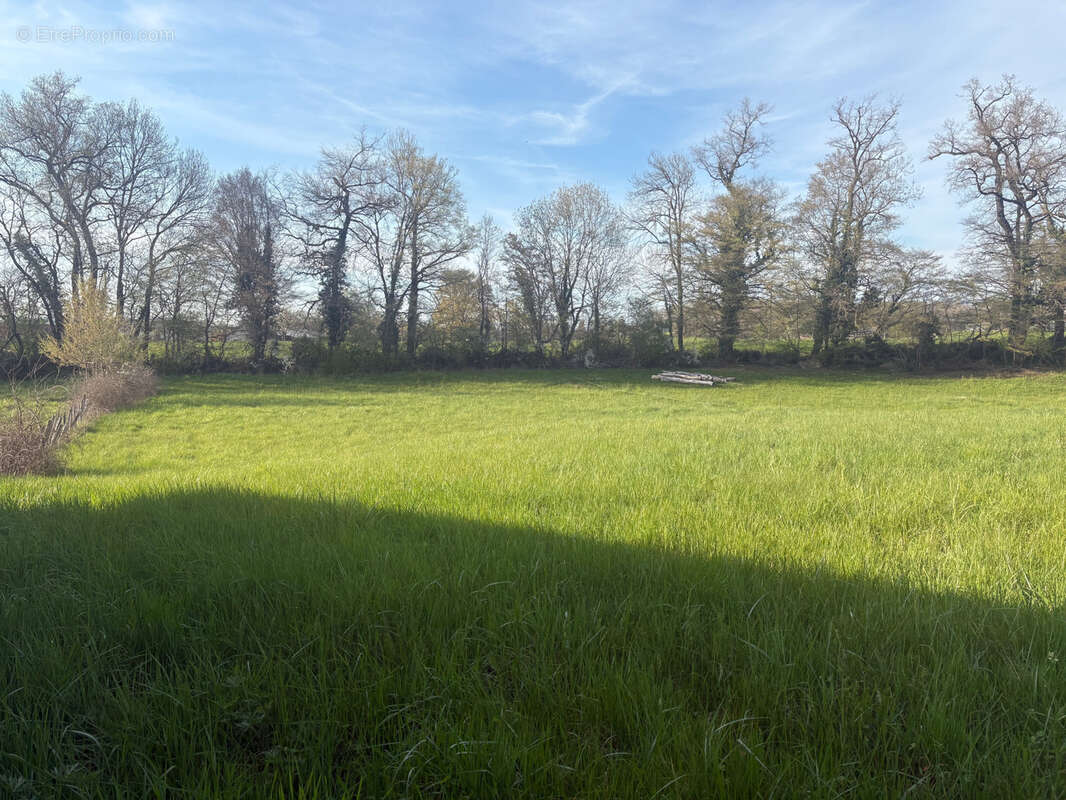 Terrain à SAINT-VIANCE