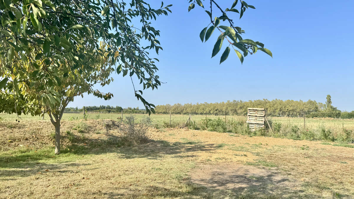 PROPRIÉTÉ SUR TERRAIN 4400m2 piscine Hangar aux portes de Montpellier - photo 10