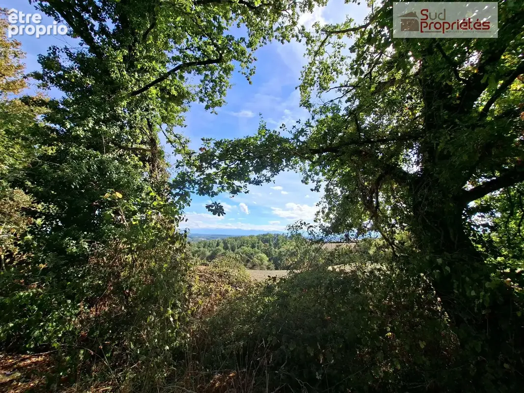 Maison 6 pièces 113 m² à vendre à Boulogne-Sur-Gesse (31350) - photo 4