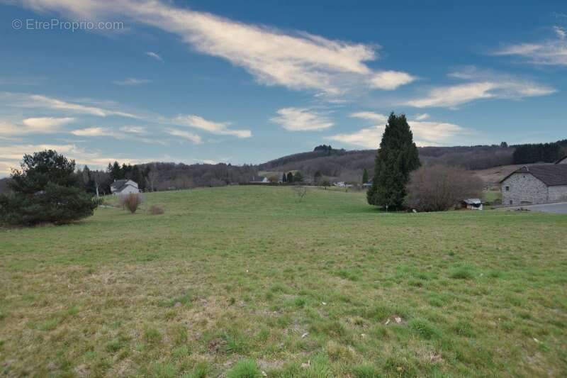 Terrain à LE CHASTANG