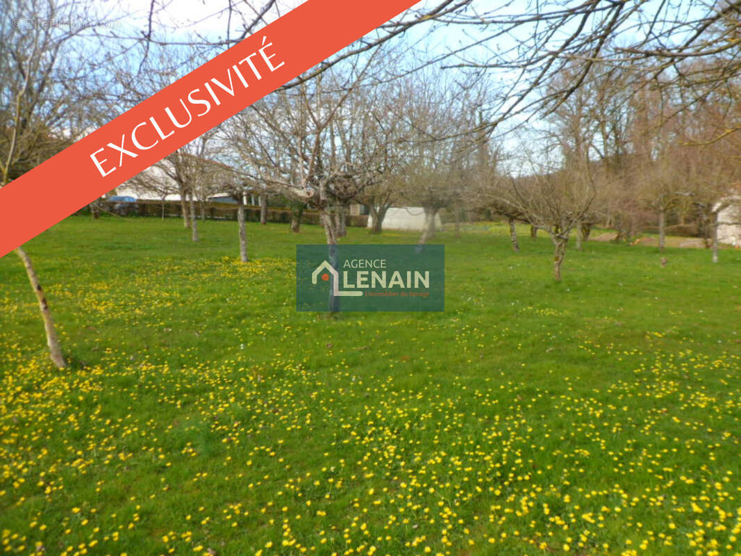 Terrain à MONTOURNAIS