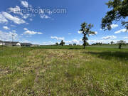 Terrain à TAURIAC-DE-NAUCELLE