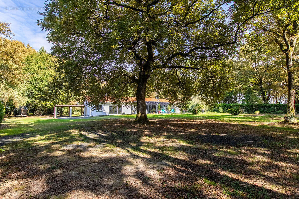 Maison à AIRE-SUR-L&#039;ADOUR