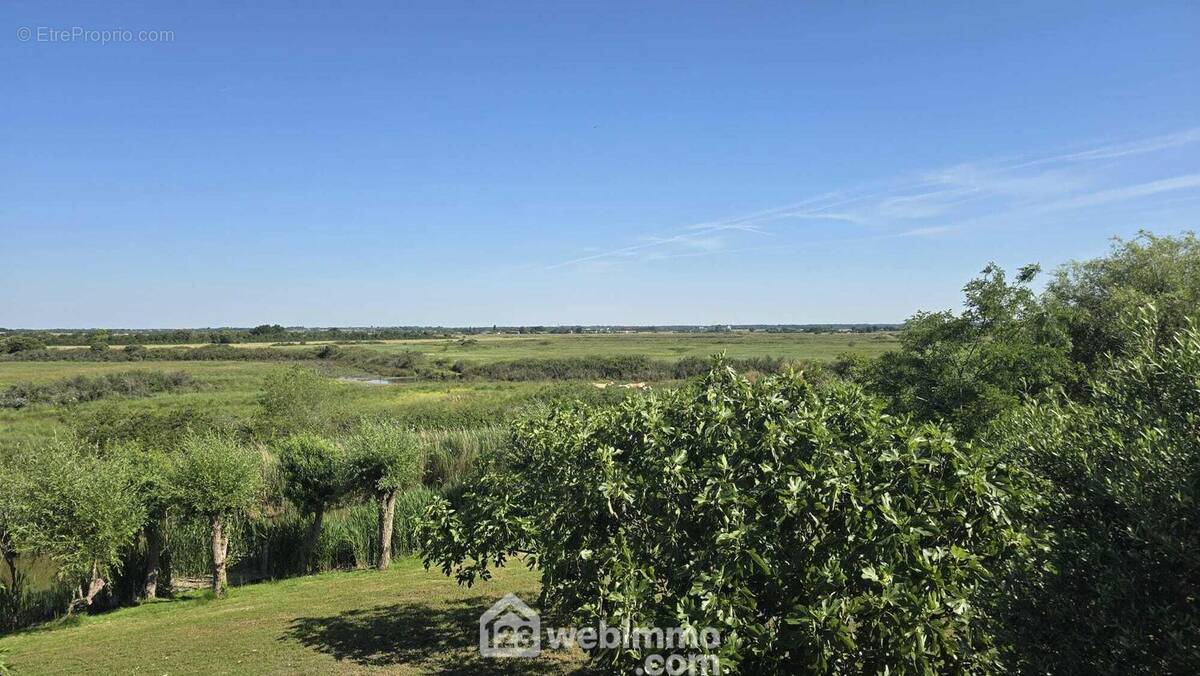 Terrain constructible avec vue sur les marais. - Terrain à JARD-SUR-MER
