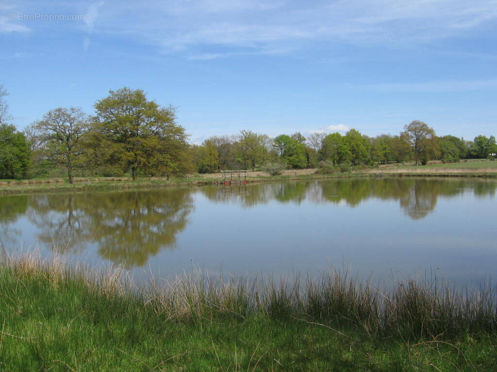 Terrain à MILLAC